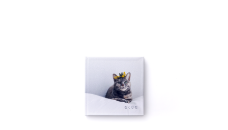IntegratedPhotoBook